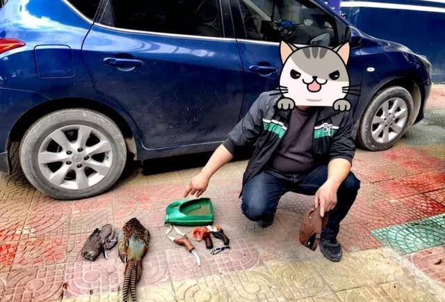 开云电竞官方网站