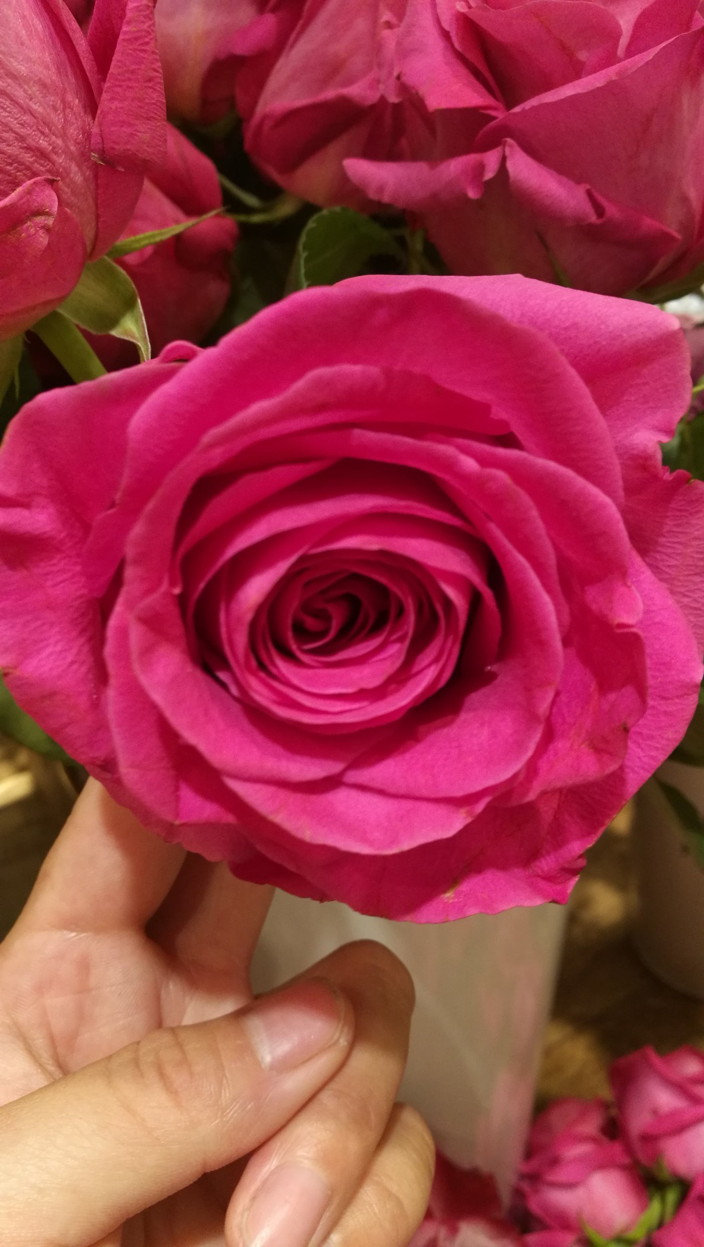 开云电竞官方网站