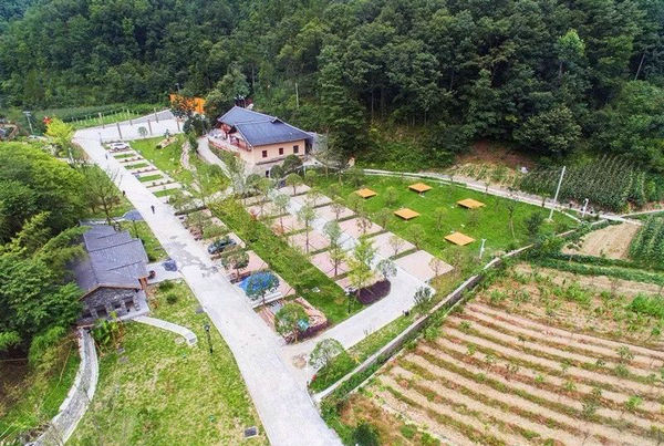 开云电竞官方网站