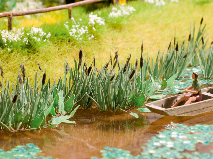 开云电竞官方网站