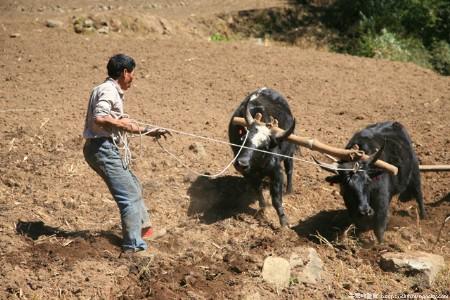 ‘开云电竞官方网站’中国卫星再次监视美军中东部署拍到F35藏身地(图)(图2) 开云电竞
