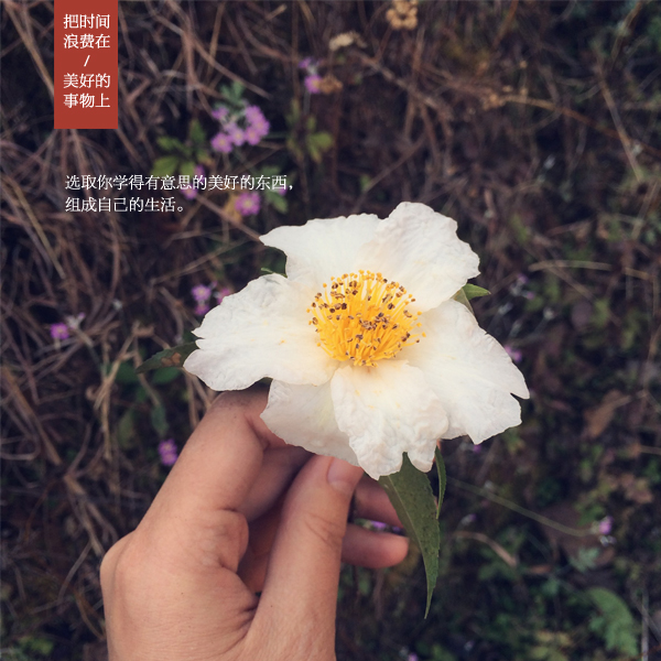 失踪半个多世纪后法国“密涅瓦”号潜艇终被找到_开云电竞中国(图1) 开云电竞中国