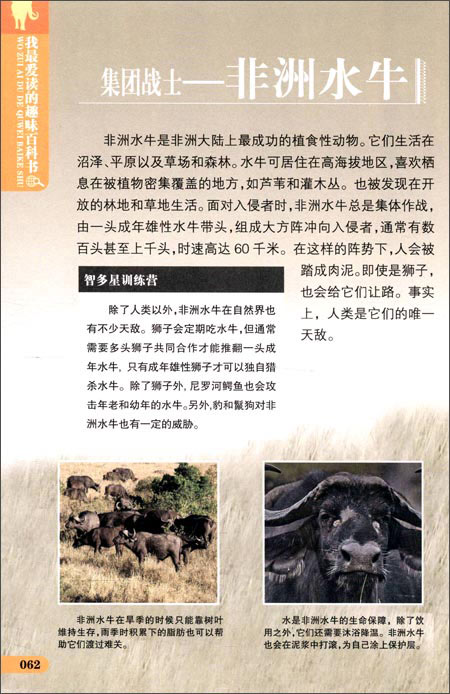 开云电竞官方网站-美攻击中国国防政策 中方回击：你欠世界一个交代